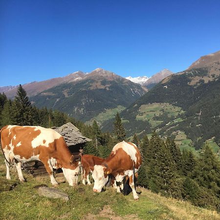 Ferienwohnung Suntinger Mörtschach Buitenkant foto